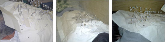 hari-100.jpg